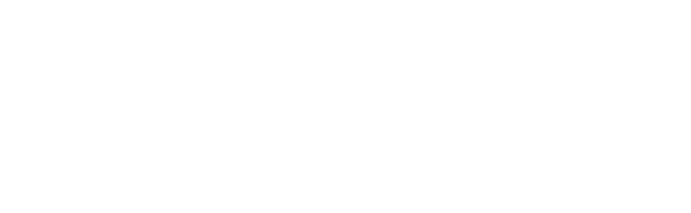 Mt. Digital Innovation Logo